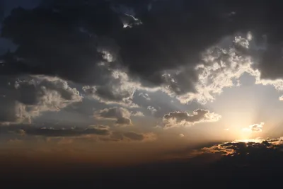 DSC_3703 (Large).JPG